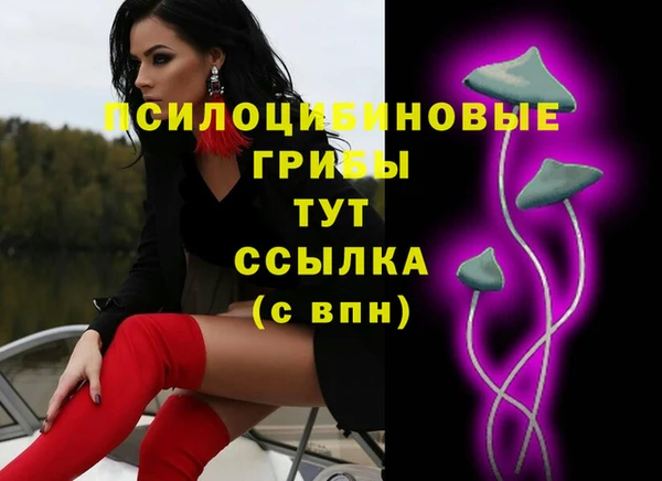 гидра Нефтекумск