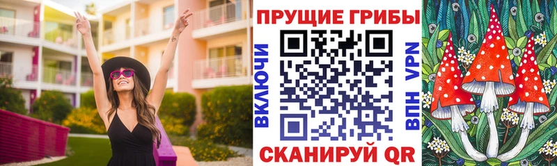 купить закладку Ликино-Дулёво Галлюциногенные грибы мицелий