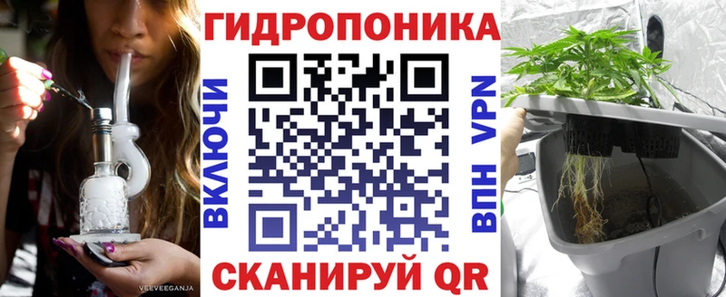Конопля семена  как найти наркотики  Ликино-Дулёво 